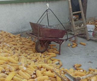 農村往房上吊玉米的機器是室外吊運機